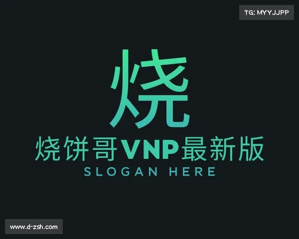 了解烧饼哥vnp最新版